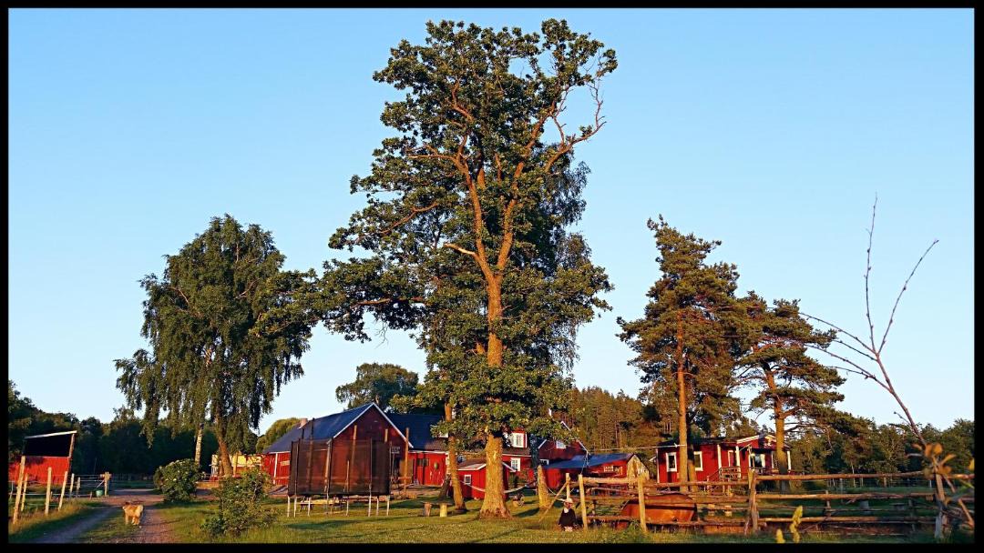 Photo of Buildings in Sloinge
