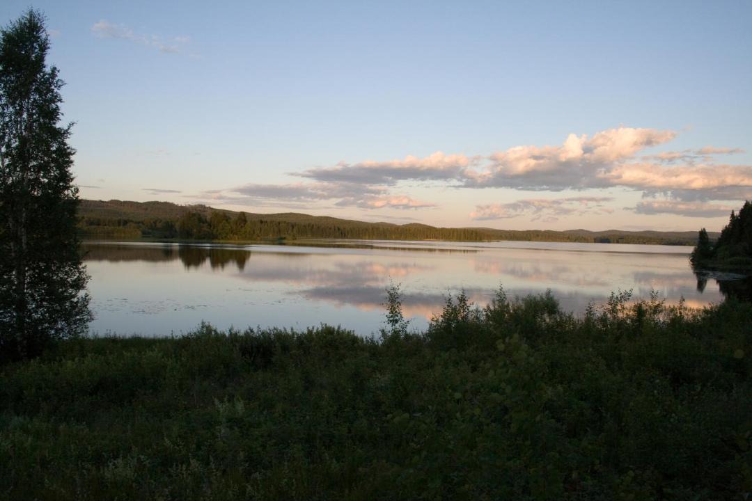 Photo of Others in Overbyn