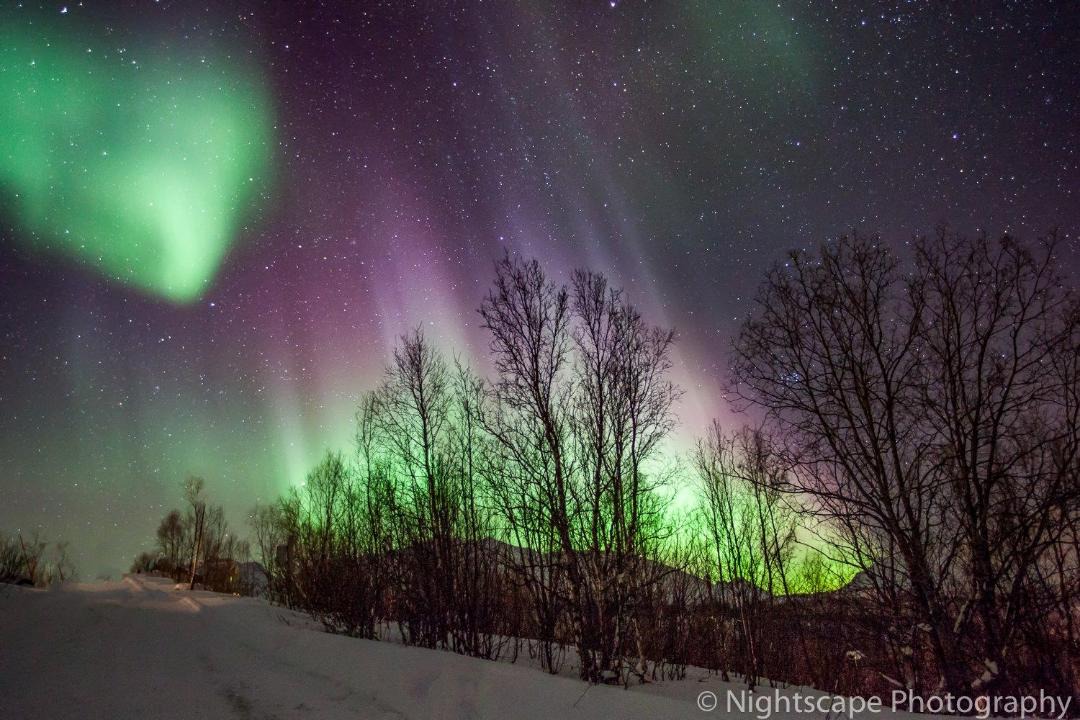 Photo of Others in Lyngen