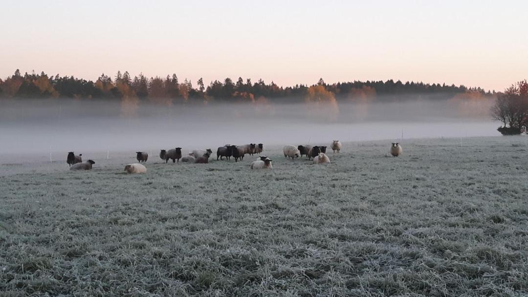 Photo of Outdoor in Lidkoping