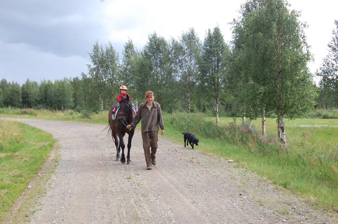 Photo of Others in Sorsele