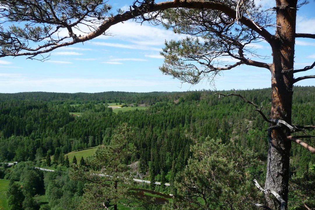 Photo of Others in Munkedal Municipality