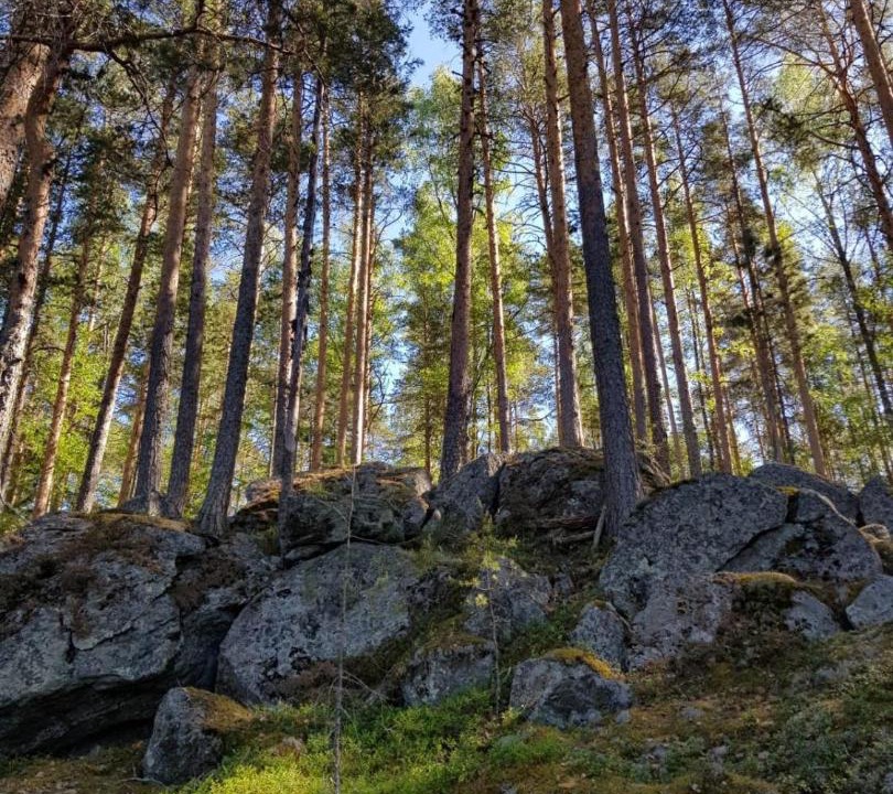 Photo of Others in Leppavirta