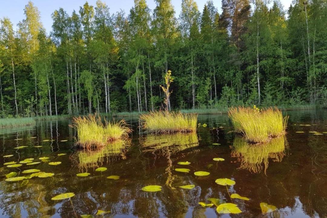 Photo of Others in Leppavirta