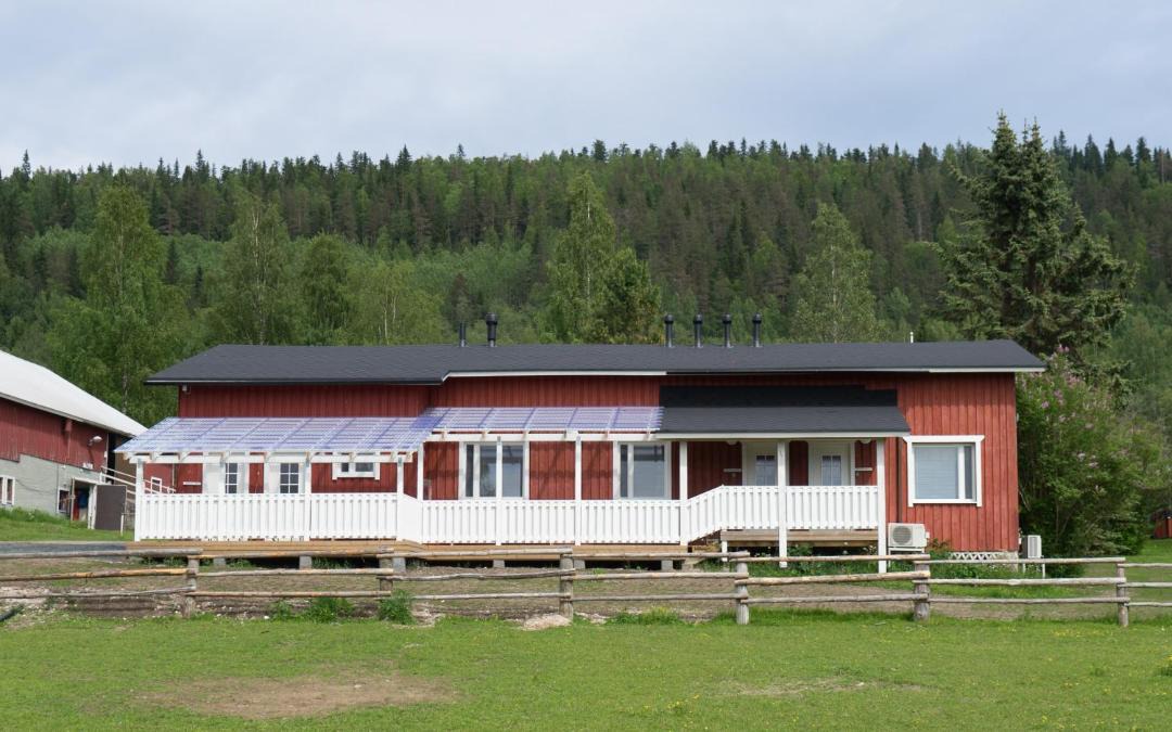 Photo of Others in Koli National Park
