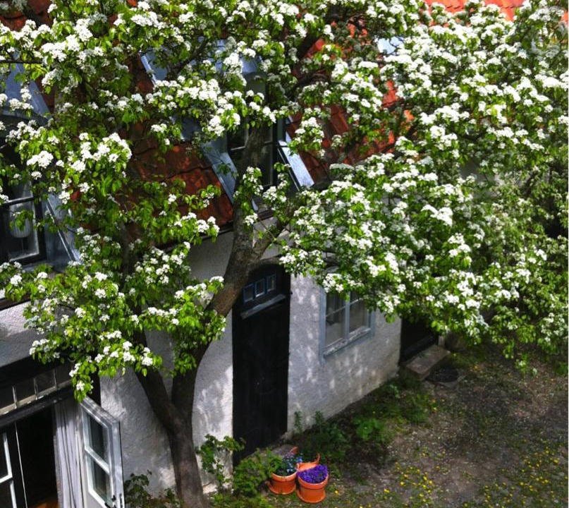 Photo of Buildings in Malmen