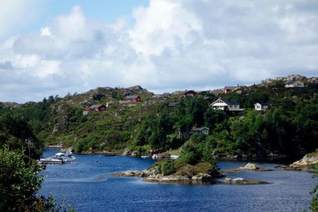 Photo of Others in Haugesund
