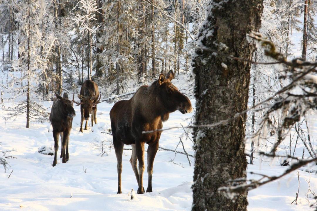 Photo of Others in Stoten