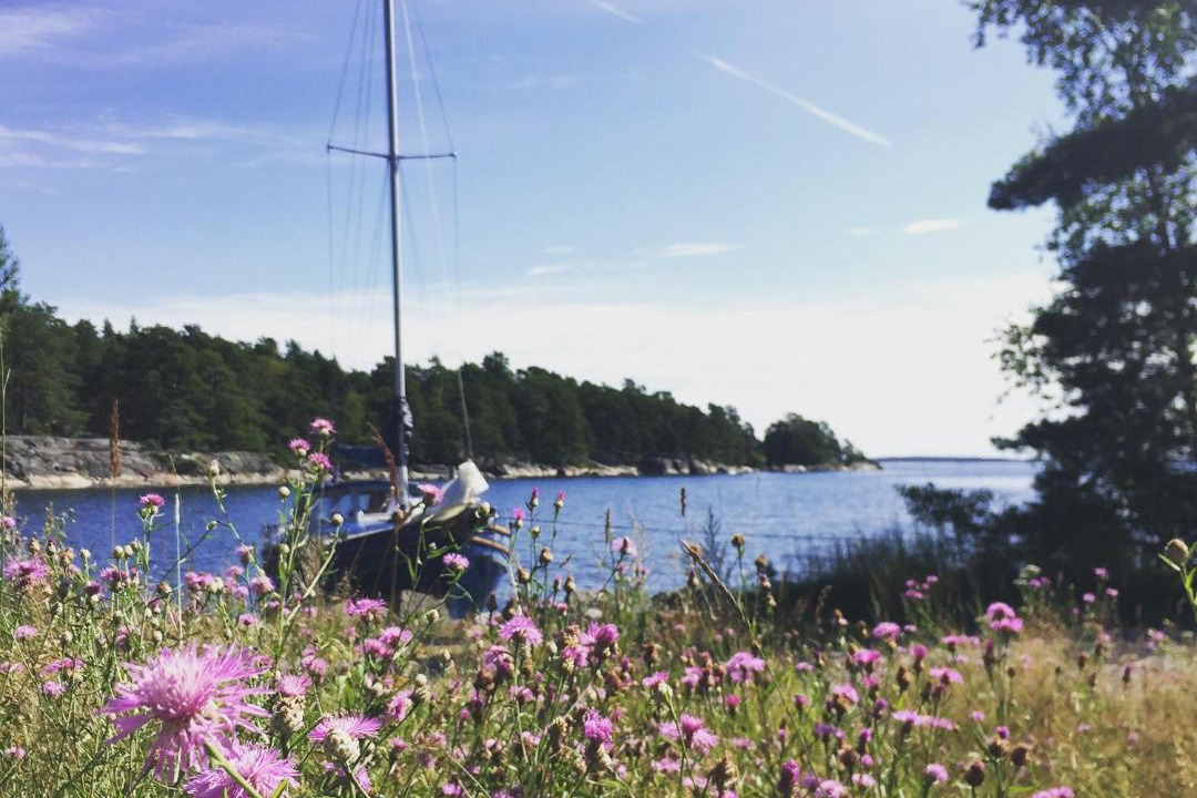 Photo of Others in Djurhamn