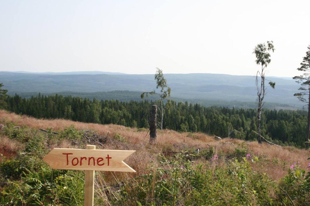 Photo of Others in Nyhammar