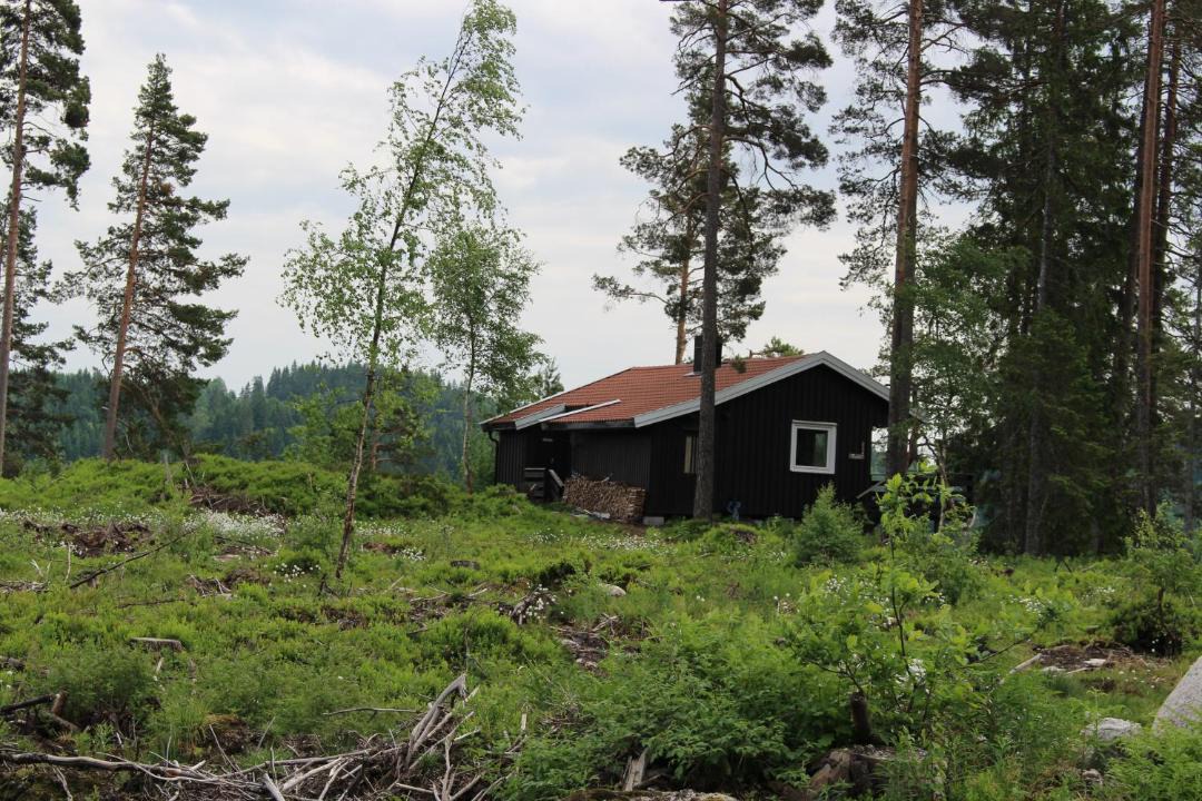 Photo of Others in Birkeland