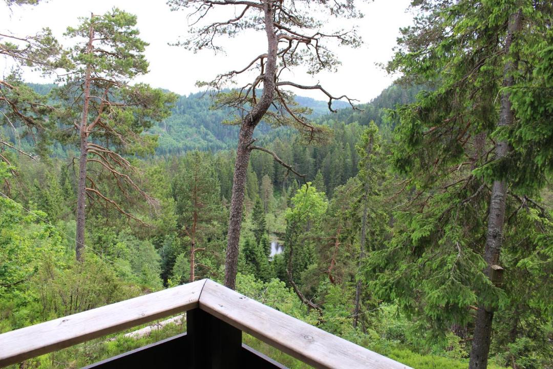 Photo of Others in Birkeland