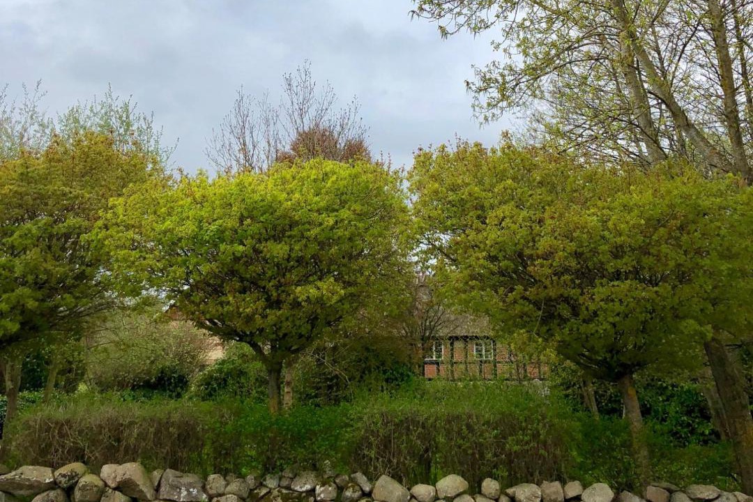 Photo of Outdoor in Kivik