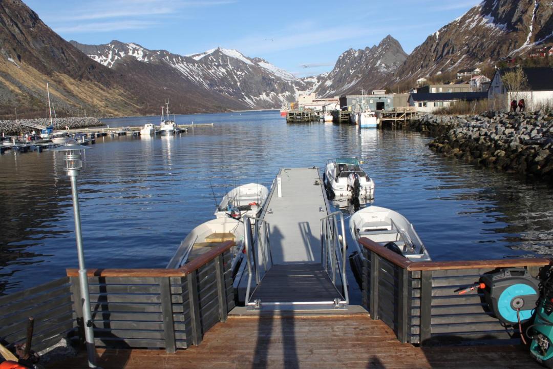 Photo of Others in Torsken
