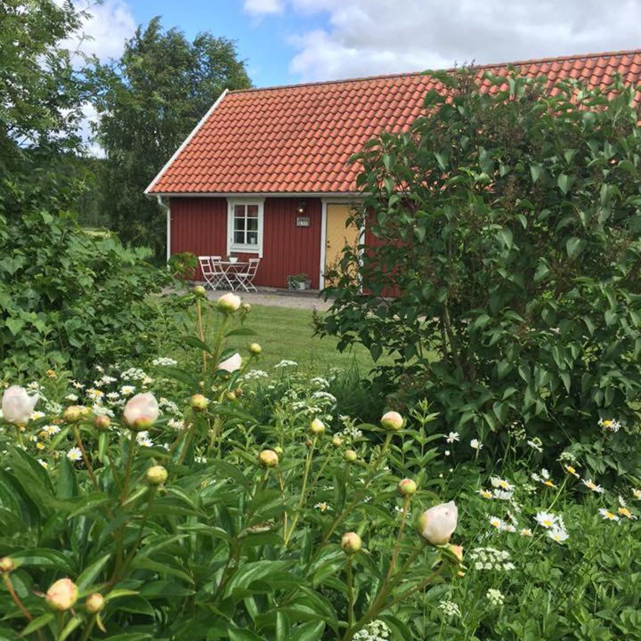 Photo of Others in Sloinge