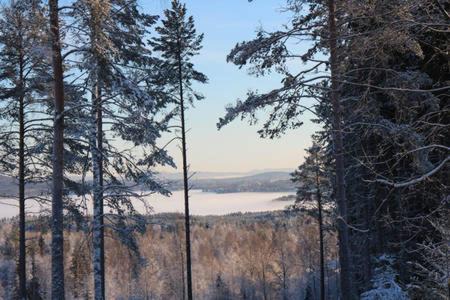 Photo of Others in Falun