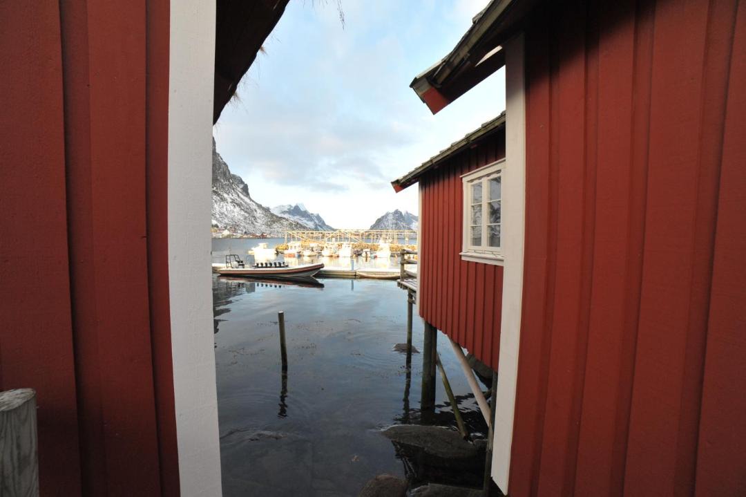 Photo of Others in Reine