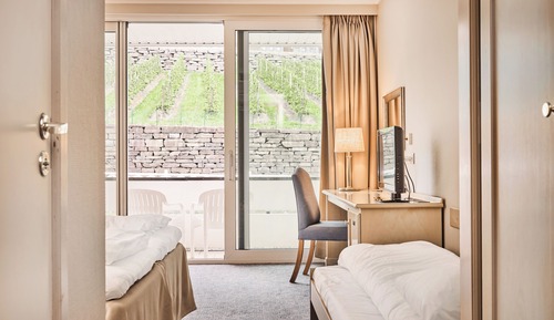 Superior Twin Room (Med Fjellutsikt)