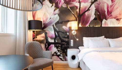 Superior Room, 1 Queen Bed, Non Smoking