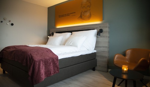 Double Room, 1 Queen Bed