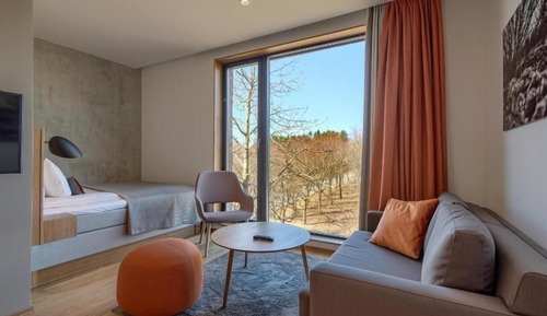Comfort Apartment