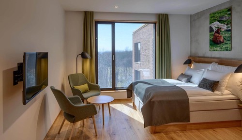 Superior Double or Twin Room
