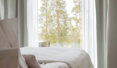 Arctic Treehouse Suite Double (Extra bed)