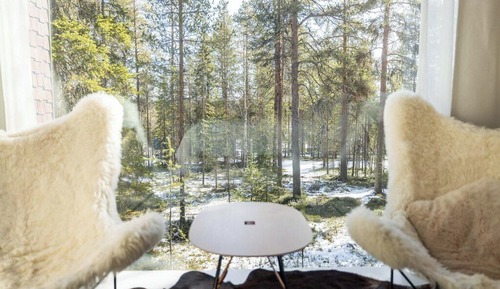 Arctic TreeHouse Suite Twin (Extra bed) and View