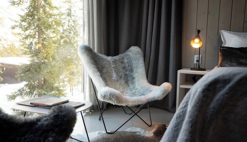 Arctic TreeHouse Suite Twin with Kitchenette (Extra bed) and View