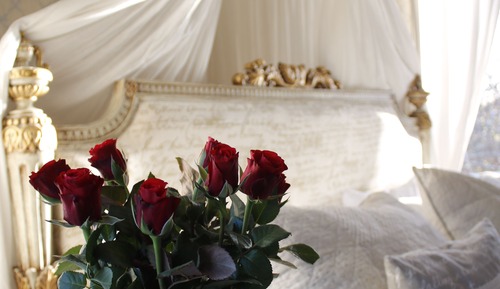 Superior Double or Twin Room, Garden View