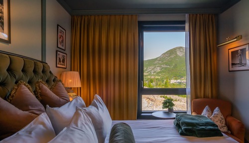 Standard Room, 1 King Bed, Mountain View