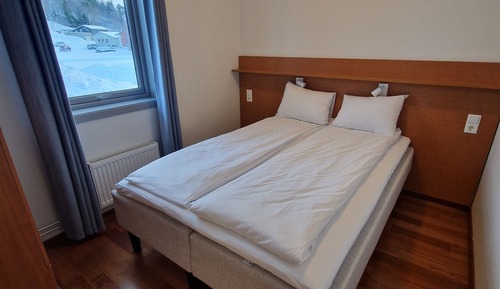 Family Room, 1 Queen Bed with Sofa bed