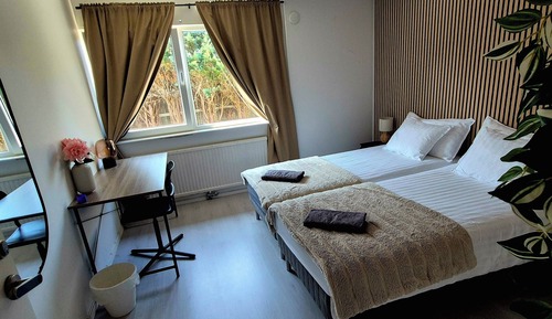 Comfort Single Room