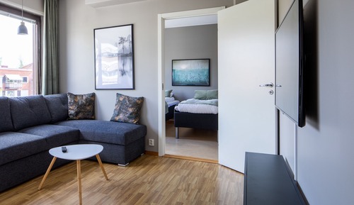 Comfort Apartment, 3 Bedrooms