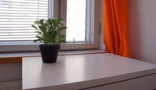 Twin Room, Shared Bathroom