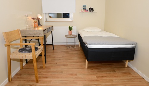 Basic Single Room