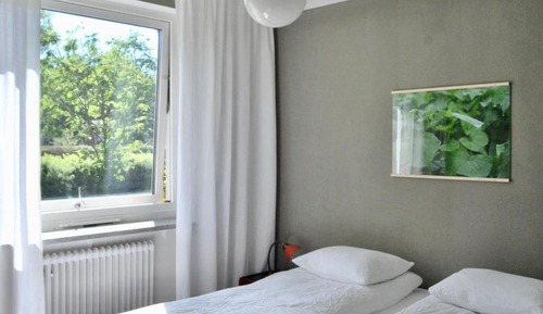 Basic Double Room
