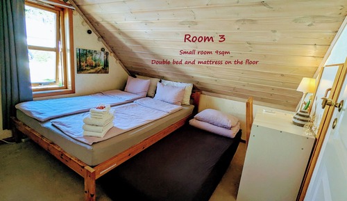 Basic Room, Multiple Beds