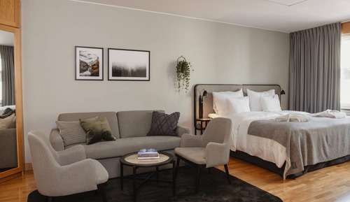 Deluxe Double Room, 1 Double Bed with Sofa bed