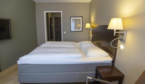 Standard Room, 1 Queen Bed