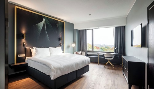 Premium Room, 1 King Bed with Sofa bed
