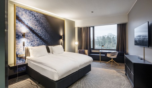 Standard Room, 1 King Bed, Accessible