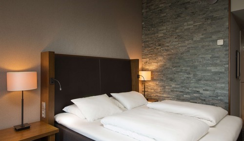 Standard Double Room, 1 King Bed