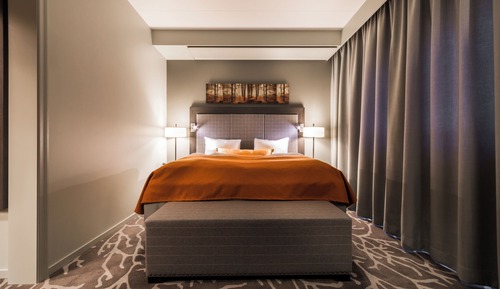 Superior Double Room, Mountain View