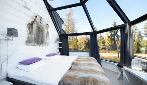 Premium Igloo