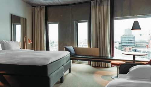 Family Room, 1 King Bed