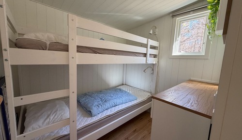 Premium Cabin