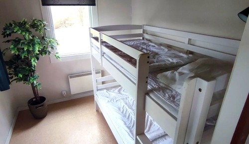 Premium Cabin