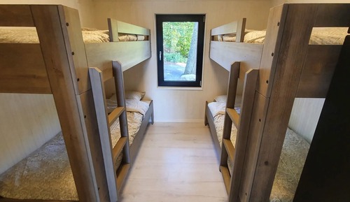 Premium Cabin
