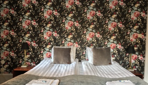 Double Room (Large)